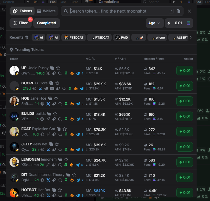 Yodao search window showing token results